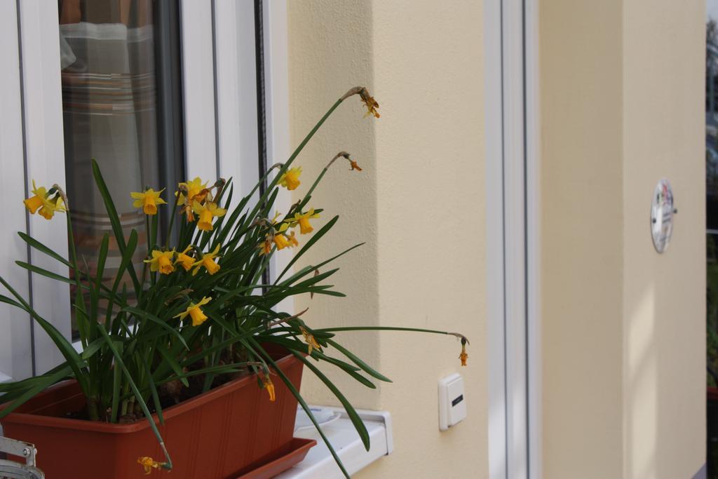 Ferienwohnung Familie Westermann Kapellen-Drusweiler Extérieur photo